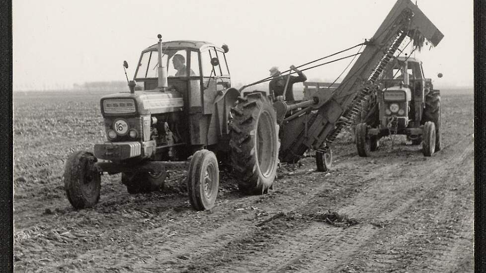 Bieten rooien, 1966