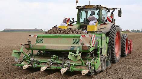 Fontane aardappelen poten in Babyloniënbroek