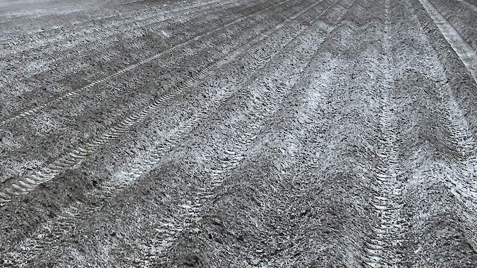 En dat geeft een bijna winters landschap.