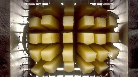 Fritesfabrieken tijdelijk dicht?