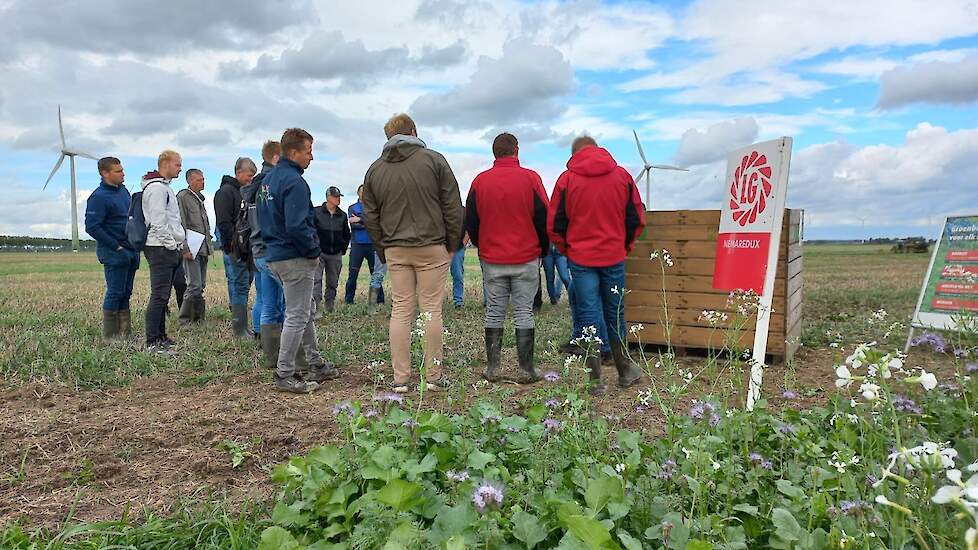 Groenbemesterdag- 22 september 2023- Lelystad