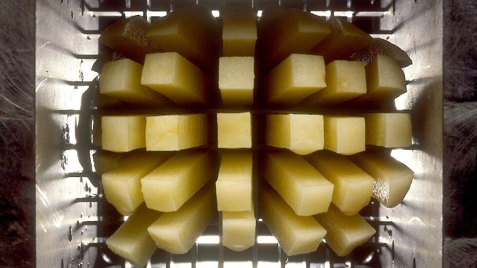 Frites snijden bij Aviko.