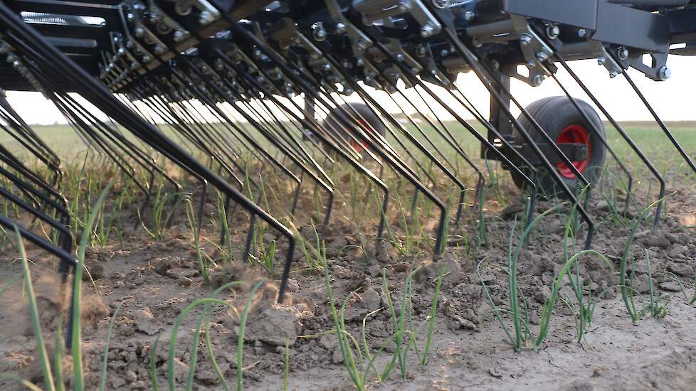 Eggen doe je preventief, drukt Den Herder zijn toehoorders meerder malen op het hart. “Dat betekent vroeg beginnen en om de 4 à 5 dagen terugkomen.” In de drukke voorjaarsperiode is dat tijd die niet overal gemist kan worden.