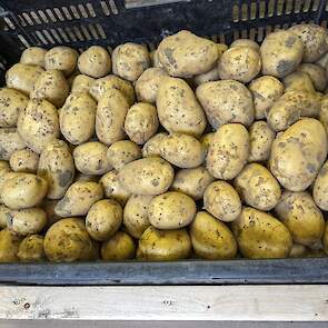 Traditiegetrouw wordt het eerste kistje aardappelen geveild voor een goed doel.