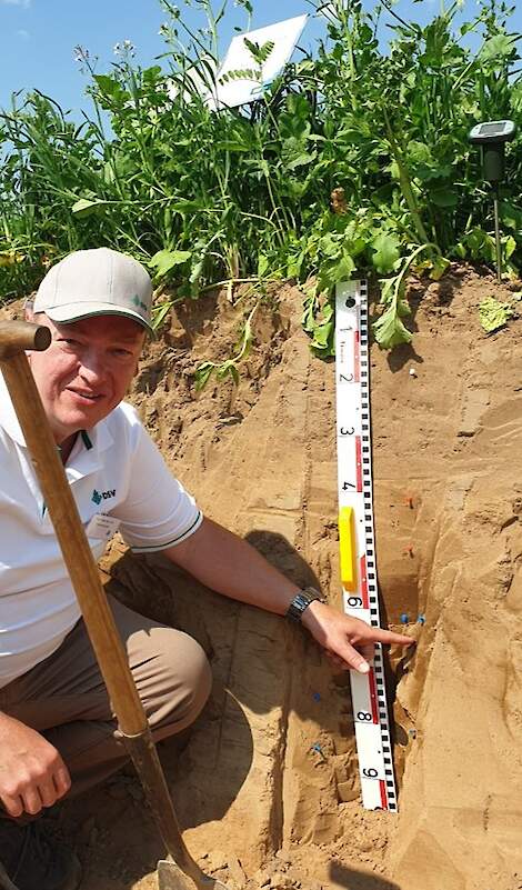 Een kijkje in de bodem: DSV specialist Tako van den Hul wijst in de profielkuil op de wortels onder de harde laag.