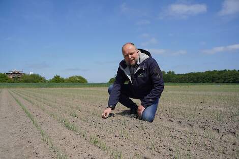 Lennert van Arenthals is commercieel technisch adviseur vollegrondsgroenten en uien bij Seminis.