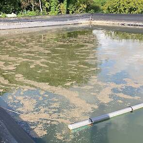 „We begonnen dit seizoen met een vol bassin. Maar na enkele maanden hitte en droogte kwam de bodem in zicht.” Het bassin heeft een capaciteit van 3.000 kuub.