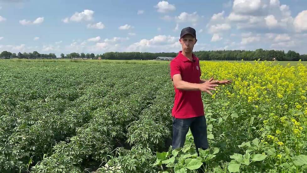 Welk mengsel kies je bij bufferstroken langs bouwland en groene braak?