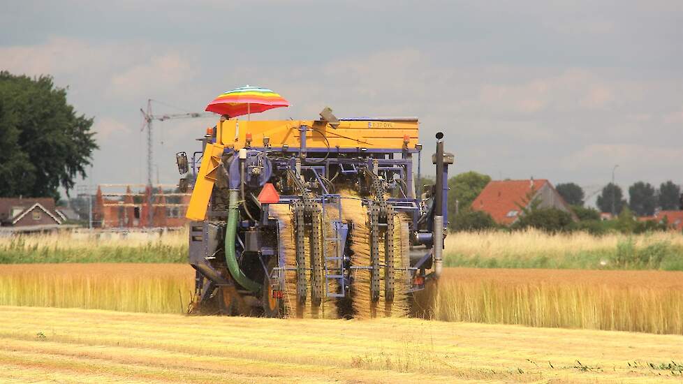 In Nederland wordt circa 2.100 hectare vlas geteeld.