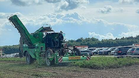 Erste Ergebnisse früher Kartoffelsorten eher positiv |  Akkerwijzer.nl