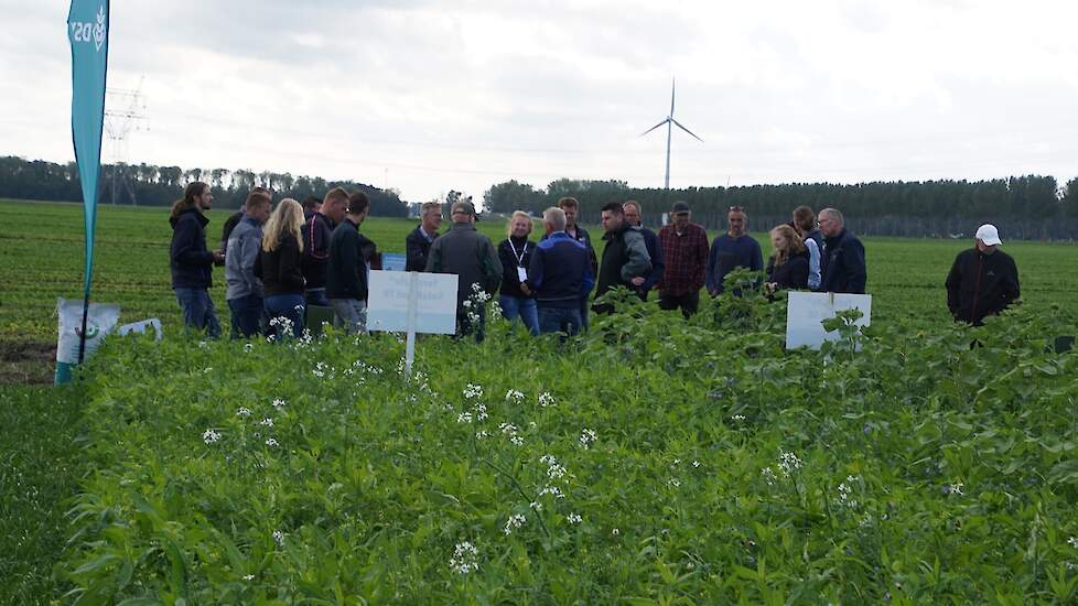 Groenbemesterdag- 22 september 2023- Lelystad