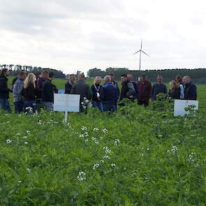 Groenbemesterdag- 22 september 2023- Lelystad