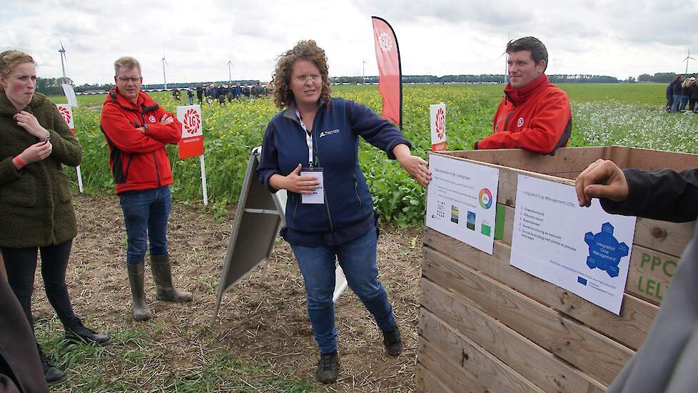 Groenbemesterdag- 22 september 2023- Lelystad