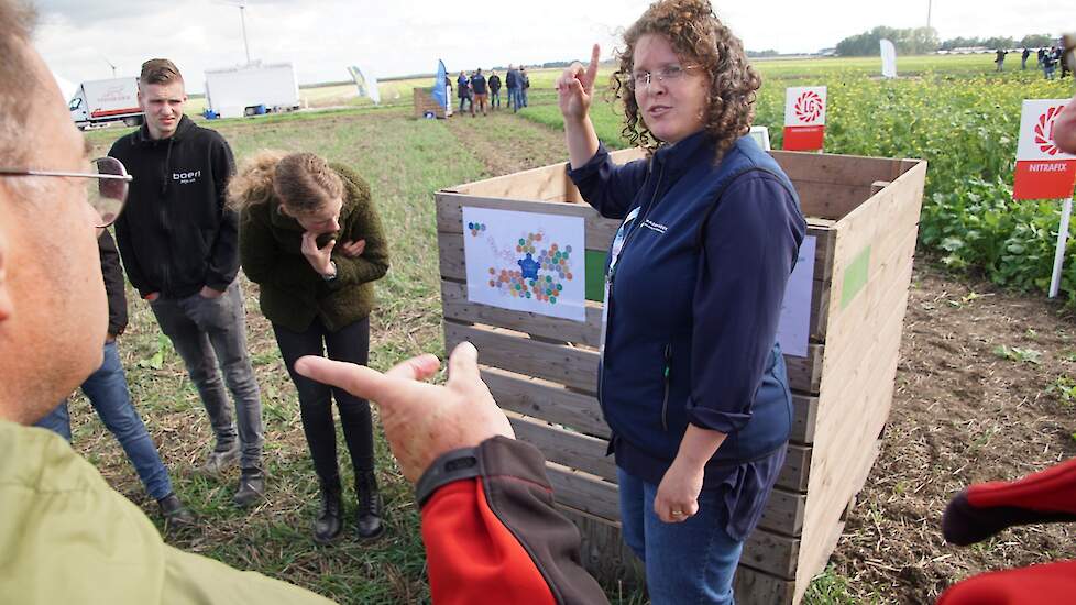 Groenbemesterdag- 22 september 2023- Lelystad