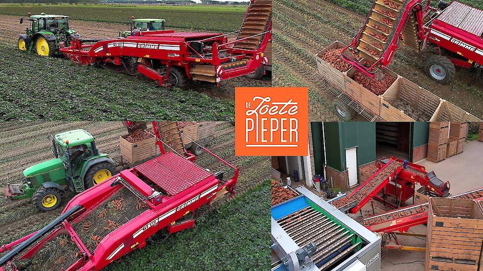 Zoete aardappels rooien & inschuren | Harvesting Sweet Potatoes | Grimme | John Deere | Oogst 2023