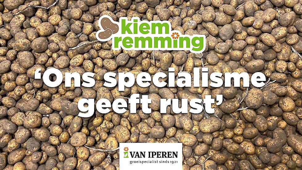 Kiemremming: ons specialisme geeft rust