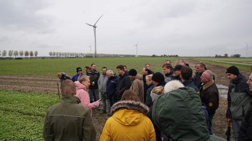 TopBodem Herfstexcursie bezoekt groenbemestersproef.