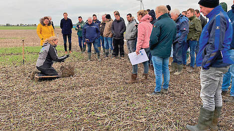 Tijdens de TopBodem Herfstexcursie bezochten de deelnemers de grote groenbemestersproef in Lelystad en beoordeelden zie die visueel boven- en ondergronds.