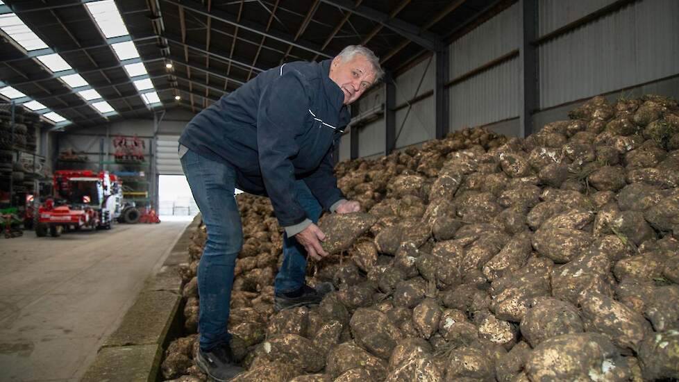 Toby en Stefan Witkop runnen in maatschap met vader Hendri (foto) een akkerbouw- en loonbedrijf bij Swifterbant (FL). Ze bewaren sinds 2013 hun bieten binnen.