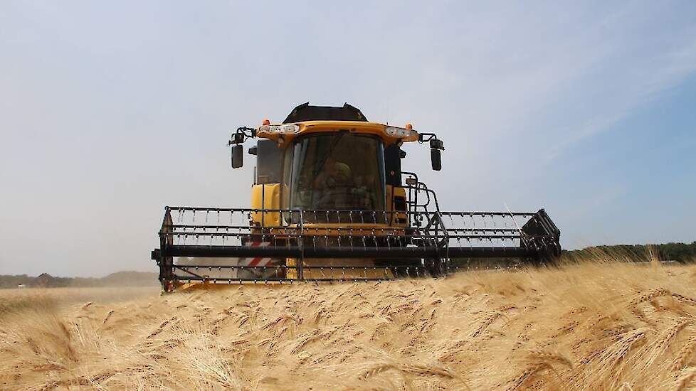 Июль 2023 г.: Заявление России снова спровоцировало повышение цен на зерно |  Akkerwijzer.nl