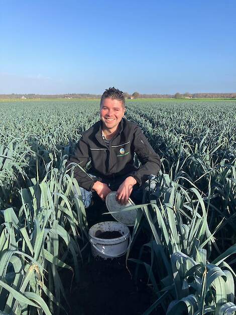 Naast het planten van Facelia heeft Martijn Hendrickx ook kortschildkevers uitgezet: één groepje kortschildkevers, een dubbele groep kortschildkevers en géén kortschildkevers.