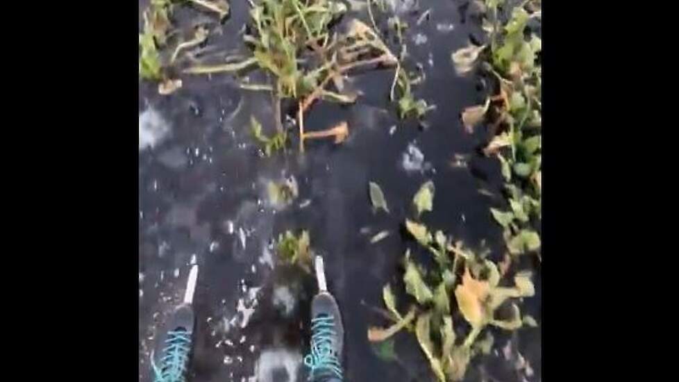 Video: Schaatsen over ondergelopen en bevroren bieten