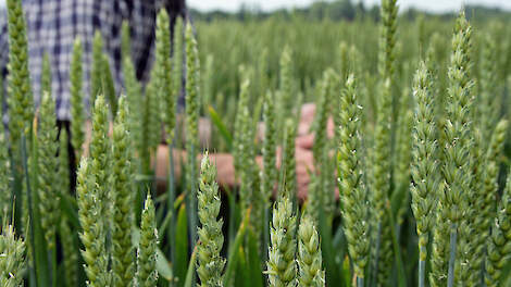 ‘Bedrijfsspecifiek en met vertrouwen in ondernemers’
