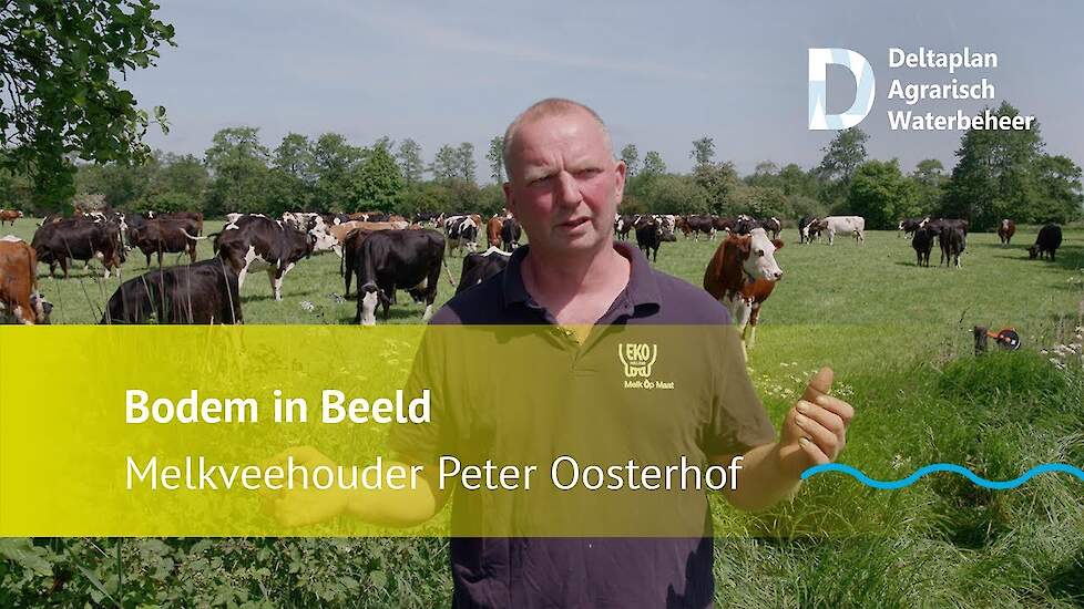 Bodem in Beeld | ‘Nog nooit zo slecht gemolken en zo goed verdiend’