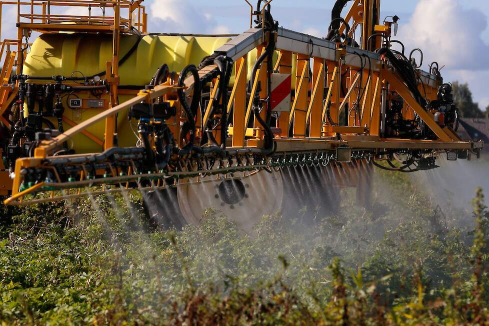 Om de beschikbare fungiciden tegen Phytophthora zo effectief mogelijk te houden, moeten middelen met verschillende werkingsmechanismen worden afgewisseld.