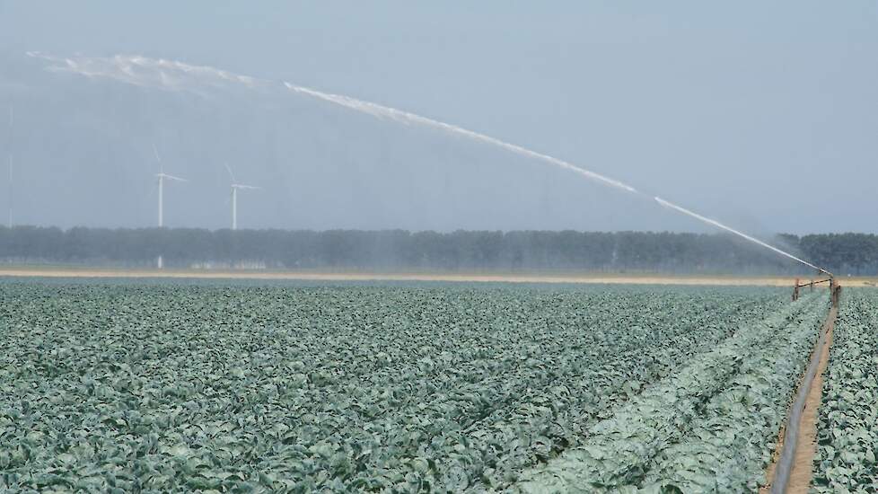Beregenen van kool in Flevoland
