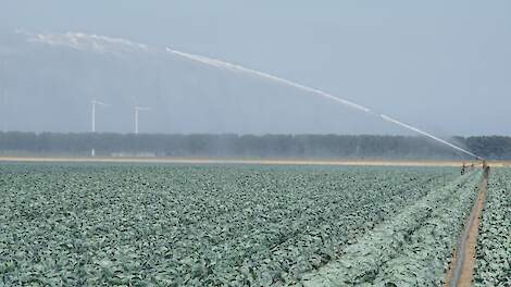 Beregenen van kool in Flevoland
