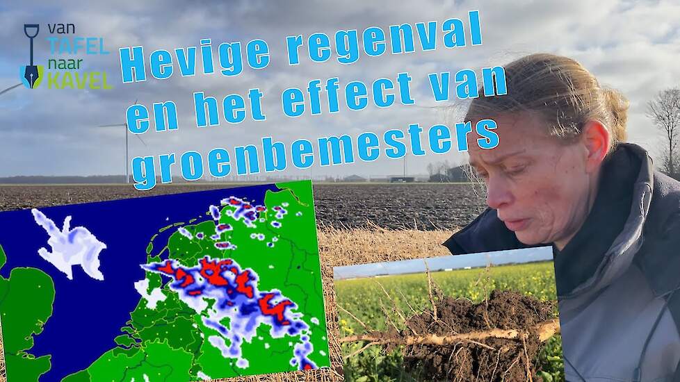 Wateroverlast en het effect van groenbemesters op de bodem