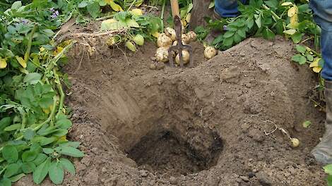 Gat in de grond