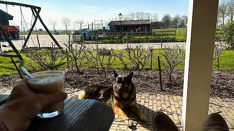 Astrid Francis: 'Uitkijken naar een veulentje in de wei naast ons prachtige akkerbouwbedrijf op gezonde vitale kleibodem en heerlijk mals gras zet mij weer op het goede been.'
