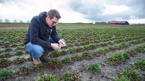 Coen de Leeuw is gespecialiseerd in de teelt van bloemzaden en droogbloemen, vooral in kleine niet-gangbare soorten zoals lavatera, lupine, flox en delphinium.