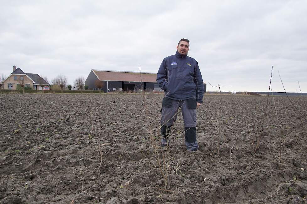 Agroforestry biedt teler Dick veel voordelen.