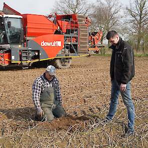 Bas Westerveld bekijkt samen met medewerker Henrie Sloëtjes wat er nog aan aardappelen in de ruggen zit. Veruit de meeste knollen zijn vergaan. De intacte knollen zijn echter nog opvallend hard. Her en der zit er een kiem aan.