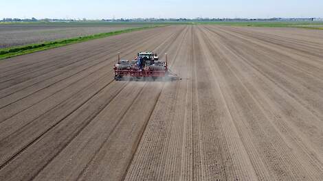Uit onderzoek blijkt dat NEMguard DE een betrouwbare opvolger is voor de huidige standaard. NEMguard bestrijdt aaltjes in onder andere uien en wortelen.