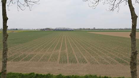 'Gebruik dinoterb in landbouw hoogst onwaarschijnlijk'