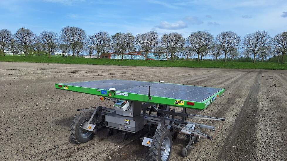 Cichorei zaaien met de Farmdroid.