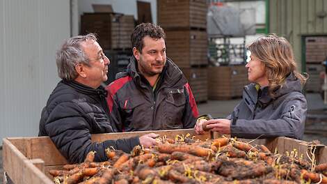 Kees en Marinus Hospers met Tryntsje Sinnema