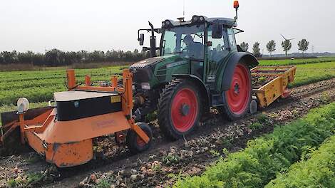 Meer biodiversiteit en lagere ziektedruk op bedrijf met strokenteelt