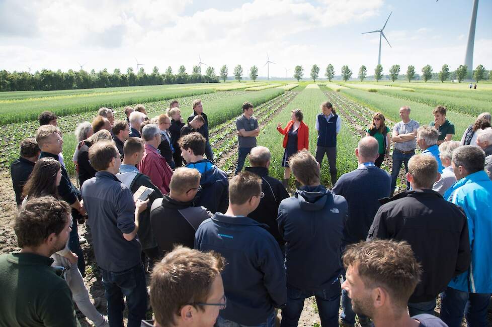 Maria van Boxtel (midden) bij een masterclass over strokenteelt.
