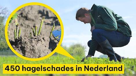 Video: Taxatie schade in plantuien en vlas: Circa 450 schademeldingen