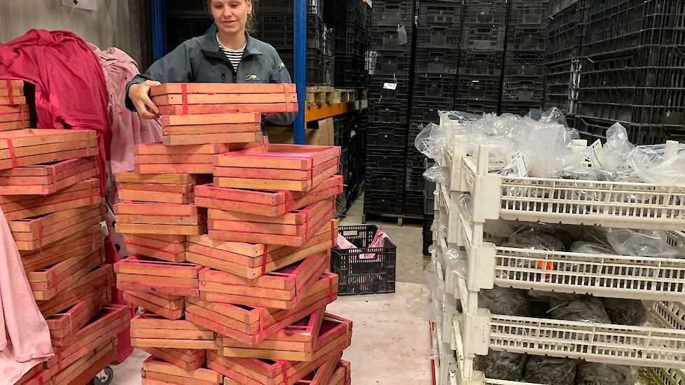 Het laden van de horren bij de poppenkast in Dronten.