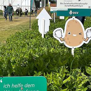 DSV TerraLife SolaRigol