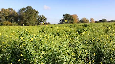 EU-natuurherstelwet aangenomen door Oostenrijkse 'staatsgreep'
