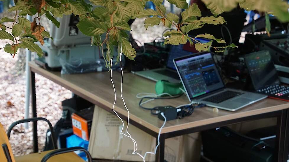 Elektroden vangen het geluid van de boom op.