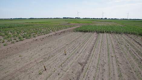 HLB jubileum: landbouw verdient een plekje in ons land
