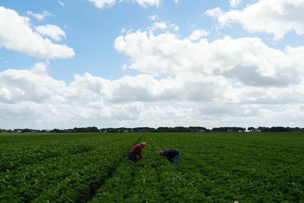 Steven en zijn zwager Pieter tijdens een rondje langs wat boerderijen in Groningen.